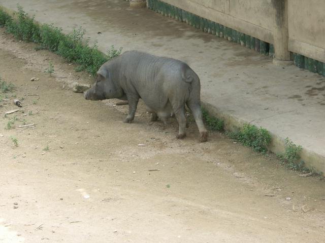 Urlaub in Vietnam 2007